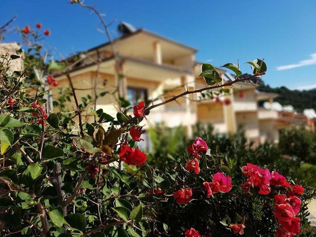 Residence Bella Vista With Panoramic Swimming Pool Trinità dʼAgultu Kültér fotó