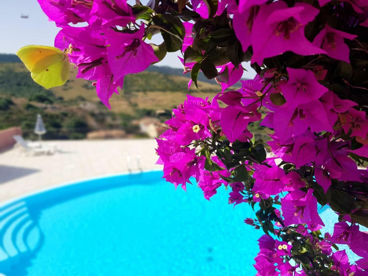 Residence Bella Vista With Panoramic Swimming Pool Trinità dʼAgultu Kültér fotó